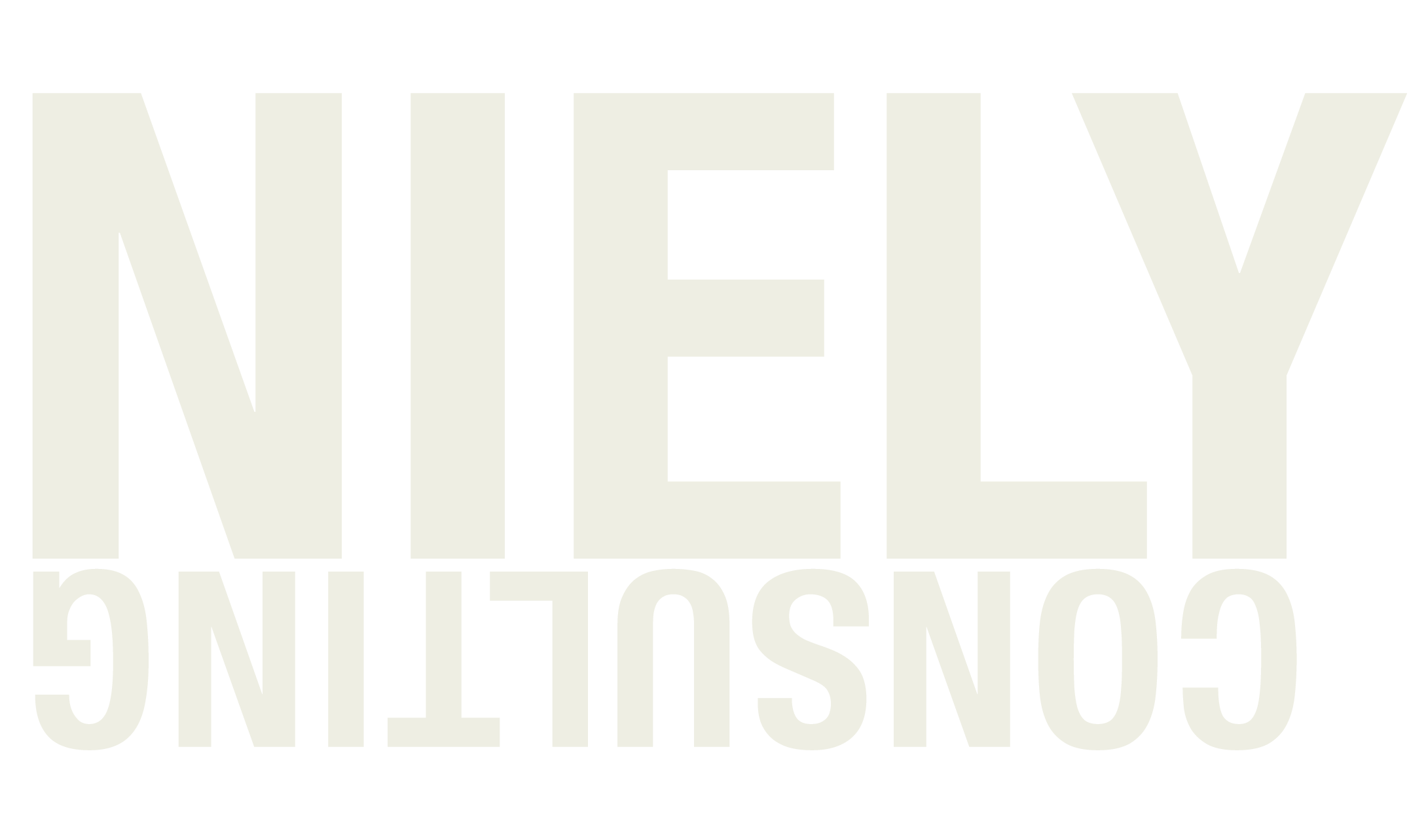 Niely Consulting